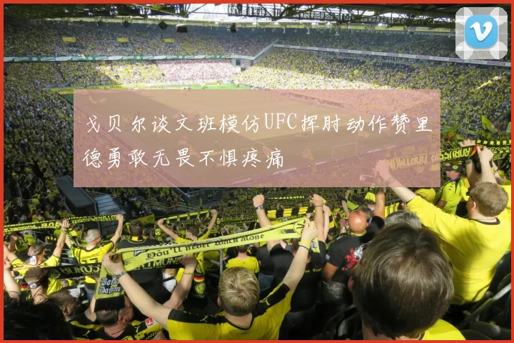 戈贝尔谈文班模仿UFC挥肘动作赞里德勇敢无畏不惧疼痛