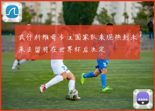武什科维奇专注国家队表现热刺未来去留将在世界杯后决定
